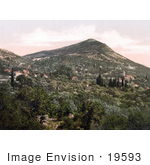 #19593 Photo Of Canosa In Dalmatia