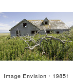 #19851 Photo Of Dead Branch Of A Tree Near An Old Abandoned House On Simeonof Island In Alaska
