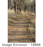 #19866 Stock Photography: Autumn Leaves Scattered On A Nature Trail