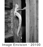 #20100 Stock Photo: Natural Wooden Door Handle and Latch at White Deer Lake Camp, Chimney Cabin by JVPD