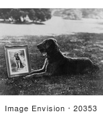 #20353 History Stock Photo of Laddie Boy, President Warren G Harding’s Dog, With a Portrait of Himself by JVPD