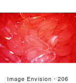 #206 Photograph Of Red Ice