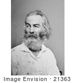 #21363 Historical Stock Photography Of Walt Whitman Looking To The Side