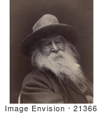 #21366 Historical Stock Photography Of Walt Whitman With A Long Beard Wearing A Hat