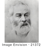 #21372 Historical Stock Photography Of Walt Whitman In 1863