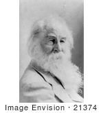 #21374 Historical Stock Photography Of Walt Whitman With Long Facial Hair