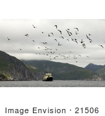 #21506 Stock Photography Of Birds Flying Over A Boat At Big Koniuji Island Shumagin Islands Alaska
