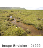 #21555 Stock Photography Of A Bog On Simeonof Island Alaska