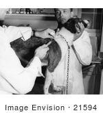 #21594 Stock Photography Of Two Male Veterinarians Giving A Dog A Rabies Vaccination Shot