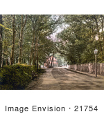 #21754 Historical Stock Photography Of The Tree Lined Upper Bognor Road In Bognor Regis England