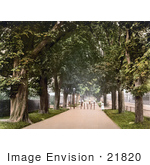 #21820 Historical Stock Photography Of People Strolling Through An Avenue Of Trees South Walk Dorchester England