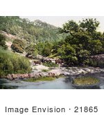 #21865 Historical Stock Photography Of Cattle At The River Wye In Millers Dale Derbyshire England