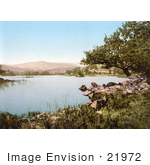 #21972 Stock Photography Of A Rocky Shore On Rydal Water Lake District Cumbria England Uk
