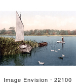#22100 Stock Photography Of Ducks And Men In Boats On The Trinity Broads Ormesby Norfolk England