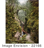 #22166 Historical Stock Photography Of A Path Along The River Lyd In The Lydford Gorge Devon Devonshire England