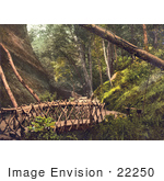 #22250 Historical Stock Photography Of A Wooden Bridge And Path In Shanklin Isle Of Wight England Uk