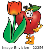 #22356 Clip Art Graphic Of A Red Apple Cartoon Character With A Red Tulip Flower In The Spring