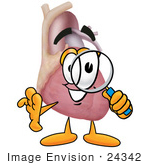 #24342 Clip Art Graphic Of A Human Heart Cartoon Character Looking Through A Magnifying Glass