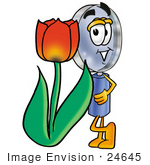 #24645 Clip Art Graphic Of A Blue Handled Magnifying Glass Cartoon Character With A Red Tulip Flower In The Spring
