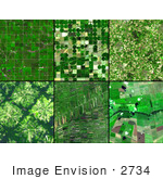 #2734 Agricultural Patterns