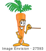 #27593 Clip Art Graphic Of An Organic Veggie Carrot Mascot Character Using A Pointer Stick And Pointing To The Right