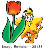 #28138 Clip Art Graphic Of A Yellow Star Cartoon Character With A Red Tulip Flower In The Spring