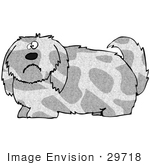 #29718 Clip Art Graphic Of A Nervous Gray Shaggy Dog