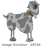 #29724 Clip Art Graphic Of A Big Goofy Great Dane With His Tongue Hanging Out Of His Mouth