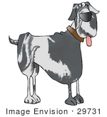 #29731 Clip Art Graphic Of A Happy Marble Patterned Great Dane Dog Hanging His Tongue Out