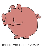 #29858 Clip Art Graphic Of A Pink Pig With A Curled Tail