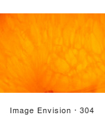 #304 Closeup Picture Of An Orange