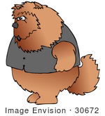#30672 Clip Art Graphic Of A Tough Chow Chow Doggy Wearing A Vest