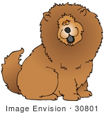 #30801 Clip Art Graphic Of A Fluffy And Friendly Chow Chow Dog Showing His Black Tongue