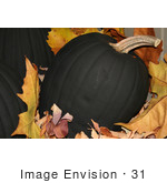 #31 Picture Of A Black Halloween Pumpkin