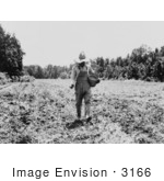 #3166 Man Planting Corn