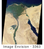 #3363 The Nile