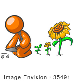 #35491 Clip Art Graphic Of An Orange Guy Character Planting Seeds In A Sunflower Garden