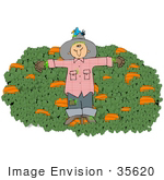 #35620 Clip Art Graphic Of A Scarecrow With A Bird Nesting In His Hat On A Post In A Pumpkin Crop