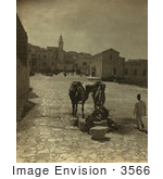 #3566 Bethlehem Street Scene With Camel