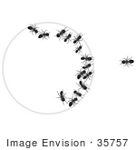 #35757 Clip Art Graphic Of Trapped Black Sugar Ants In A Bait Trap Looking Out At A Smart And Safe Ant