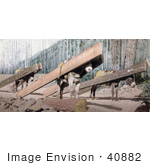 #40882 Stock Photo Of Three Donkeys Hauling Lumber At A Logging Site Colorado