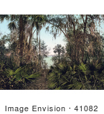 #41082 Stock Photo Of Palms Along The Shore Of The Saint Johns River In Florida
