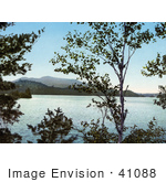 #41088 Stock Photo Of A View Through Trees On Upper St Regis Lake Adirondack Mountains New York