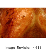 #411 Picture Of Thanksgiving Roasted Turkey