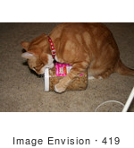#419 Photo Of An Orange Cat Trying To Break Open A Treat Jar