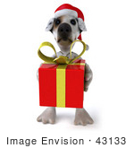 #43133 Royalty-Free (Rf) Clipart Illustration Of A 3d Jack Russell Terrier Dog Mascot Carrying A Christmas Gift - Pose 3