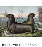#43219 Rf Illustration Of Two Sea Lions On A Rocky Coast With Ships In The Distance