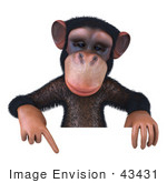 #43431 Royalty-Free (Rf) Illustration Of A 3d Chimpanzee Mascot Pointing Down At And Holding Up A Sign