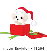 #48296 Clip Art Illustration Of A West Highland Terrier Puppy Wearing A Santa Hat And Looking Out Of A Xmas Gift Box