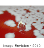 #5012 Stock Photography Of Bacillus Anthracis Tenacity Positive On Sheep Blood Agar